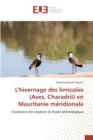 Image for L&#39;Hivernage Des Limicoles (Aves, Charadrii) En Mauritanie Meridionale