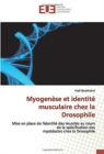 Image for Myogenese et identite musculaire chez la Drosophile