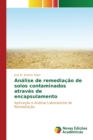 Image for Analise de remediacao de solos contaminados atraves de encapsulamento