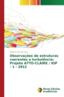 Image for Observacoes de estruturas coerentes e turbulencia : Projeto ATTO-CLAIRE / IOP - 1 - 2012