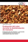 Image for Evaluacion del color durante la deshidratacion de manzana