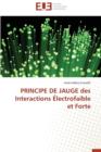 Image for Principe de Jauge Des Interactions  lectrofaible Et Forte