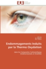 Image for Endommagements induits par la thermo oxydation