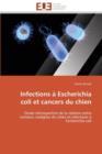 Image for Infections   Escherichia Coli Et Cancers Du Chien