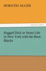 Image for Ragged Dick or Street Life in New York with the Boot-Blacks