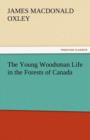 Image for The Young Woodsman Life in the Forests of Canada