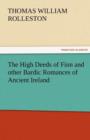 Image for The High Deeds of Finn and Other Bardic Romances of Ancient Ireland