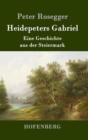 Image for Heidepeters Gabriel