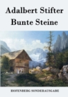 Image for Bunte Steine