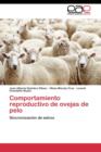 Image for Comportamiento reproductivo de ovejas de pelo