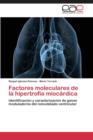 Image for Factores moleculares de la hipertrofia miocardica