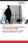 Image for Retos y perspectivas de la metodologia PIMS