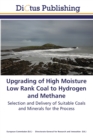 Image for Upgrading of High Moisture Low Rank Coal to Hydrogen and Methane