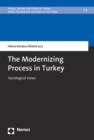 Image for Modernizing Process in Turkey