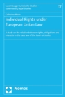 Image for Individual Rights under European Union Law
