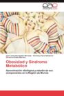 Image for Obesidad y Sindrome Metabolico