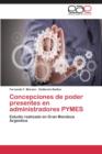 Image for Concepciones de Poder Presentes En Administradores Pymes