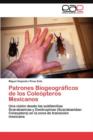 Image for Patrones Biogeograficos de los Coleopteros Mexicanos