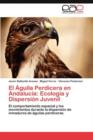 Image for El Aguila Perdicera en Andalucia : Ecologia y Dispersion Juvenil