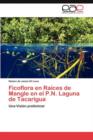 Image for Ficoflora en Raices de Mangle en el P.N. Laguna de Tacarigua