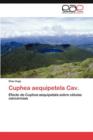 Image for Cuphea aequipetela Cav.
