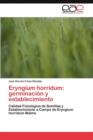 Image for Eryngium horridum