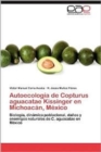 Image for Autoecologia de Copturus Aguacatae Kissinger En Michoacan, Mexico