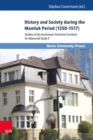 Image for History and Society During the Mamluk Period (1250-1517)