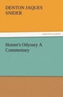 Image for Homer&#39;s Odyssey A Commentary