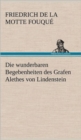 Image for Die Wunderbaren Begebenheiten Des Grafen Alethes Von Lindenstein