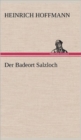 Image for Der Badeort Salzloch