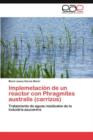 Image for Implemetacion de un reactor con Phragmites australis (carrizos)