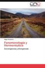 Image for Fenomenologia y Hermeneutica