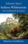 Image for Schloss Wildenstein (Großdruck) : Eine Erzahlung fur die Jugend