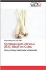Image for Cymbopogom Citratus (D.C) Stapf En Cuba