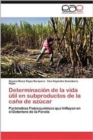 Image for Determinacion de La Vida Util En Subproductos de La Cana de Azucar