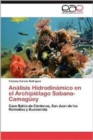 Image for Analisis Hidrodinamico En El Archipielago Sabana-Camaguey