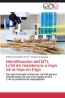 Image for Identificacion del Qtl Lr34 de Resistencia a Roya de La Hoja En Trigo