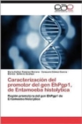 Image for Caracterizacion del Promotor del Gen Ehpgp1, de Entamoeba Histolytica