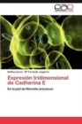 Image for Expresion Tridimensional de Cadherina E