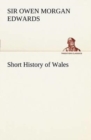 Image for Short History of Wales