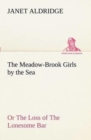 Image for The Meadow-Brook Girls by the Sea Or The Loss of The Lonesome Bar