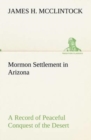 Image for Mormon Settlement in Arizona A Record of Peaceful Conquest of the Desert