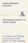 Image for The Johnstown Horror