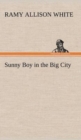 Image for Sunny Boy in the Big City