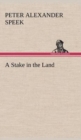 Image for A Stake in the Land