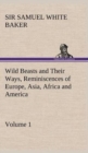 Image for Wild Beasts and Their Ways, Reminiscences of Europe, Asia, Africa and America - Volume 1