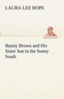 Image for Bunny Brown and His Sister Sue in the Sunny South