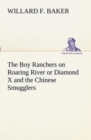 Image for The Boy Ranchers on Roaring River or Diamond X and the Chinese Smugglers