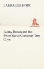 Image for Bunny Brown and His Sister Sue at Christmas Tree Cove